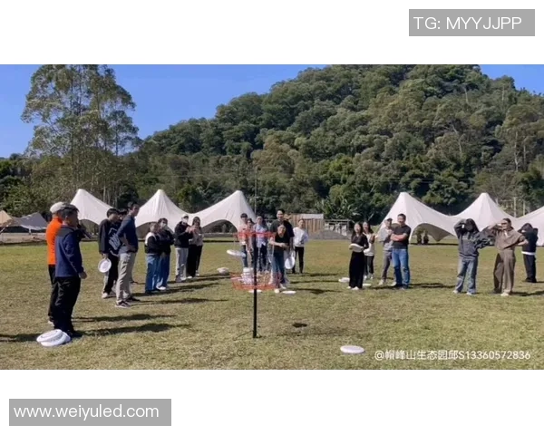 飞盘盛宴：深入广州飞盘队的训练与比赛背后的故事与激情